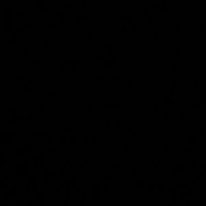 Meet your Posher, Linna